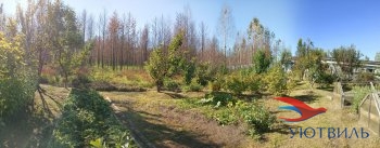 Бревенчатый дом в СНТ Ветеран в Коломне - kolomna.yutvil.ru - фото 12 Бревенчатый дом в СНТ Ветеран в Коломне - kolomna.yutvil.ru - фото 12