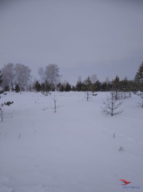 Баженово ул Южная д 7 в Коломне - kolomna.yutvil.ru - фото 2
