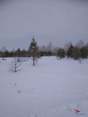 Баженово ул Южная д 7 в Коломне - kolomna.yutvil.ru - фото 5 Баженово ул Южная д 7 в Коломне - kolomna.yutvil.ru - фото 5