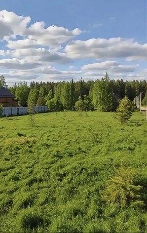 ДП Родной в Коломне - kolomna.yutvil.ru - фото 3