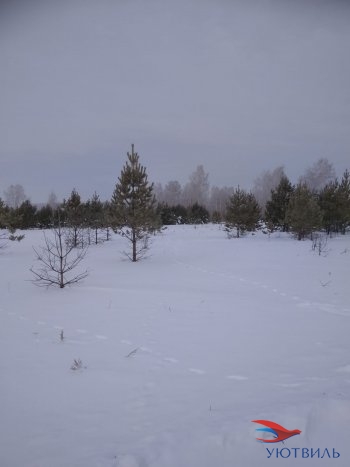 Земельный участок поселок Баженово в Коломне - kolomna.yutvil.ru - фото 5 Земельный участок поселок Баженово в Коломне - kolomna.yutvil.ru - фото 5