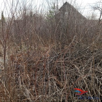 садовый участок в Дуброво-1 в Коломне - kolomna.yutvil.ru - фото 3 садовый участок в Дуброво-1 в Коломне - kolomna.yutvil.ru - фото 3