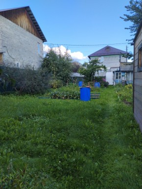 Коллективный сад номер 7, участок 58 в Коломне - kolomna.yutvil.ru - фото 26 Коллективный сад номер 7, участок 58 в Коломне - kolomna.yutvil.ru - фото 26