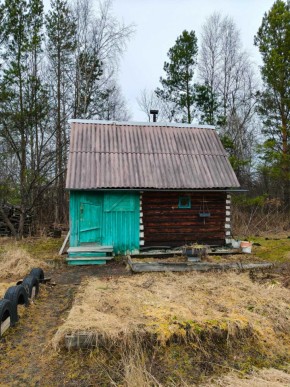СНТ Родники в Коломне - kolomna.yutvil.ru - фото 8