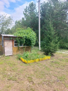 СНТ Родники в Коломне - kolomna.yutvil.ru - фото 1 СНТ Родники в Коломне - kolomna.yutvil.ru - фото 1