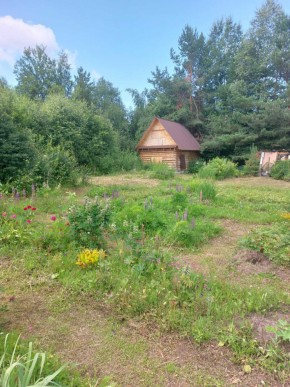 СНТ Родники в Коломне - kolomna.yutvil.ru - фото 2 СНТ Родники в Коломне - kolomna.yutvil.ru - фото 2