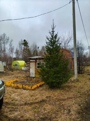 СНТ Родники в Коломне - kolomna.yutvil.ru - фото 5 СНТ Родники в Коломне - kolomna.yutvil.ru - фото 5