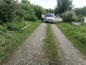 СТН Семья №112, Верхняя пышма на землях бывшего подсобного хозяйтва верхнепышминского опытного завода в Коломне - kolomna.yutvil.ru - фото 10