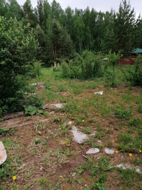 СТН Семья №112, Верхняя пышма на землях бывшего подсобного хозяйтва верхнепышминского опытного завода в Коломне - kolomna.yutvil.ru - фото 17
