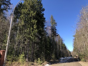 ул. Калиновая,9 в Коломне - kolomna.yutvil.ru - фото 3