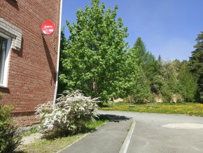 ул. Сосновая, 8 в Коломне - kolomna.yutvil.ru - фото 25 ул. Сосновая, 8 в Коломне - kolomna.yutvil.ru - фото 25
