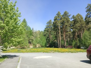 ул. Сосновая, 8 в Коломне - kolomna.yutvil.ru - фото 26 ул. Сосновая, 8 в Коломне - kolomna.yutvil.ru - фото 26