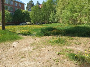 ул. Сосновая, 8 в Коломне - kolomna.yutvil.ru - фото 33 ул. Сосновая, 8 в Коломне - kolomna.yutvil.ru - фото 33