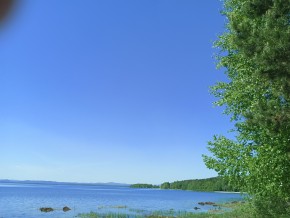ул. Сосновая, 8 в Коломне - kolomna.yutvil.ru - фото 34 ул. Сосновая, 8 в Коломне - kolomna.yutvil.ru - фото 34
